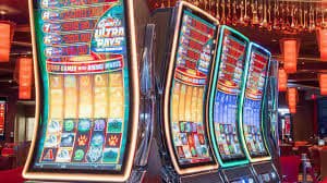 255 bet com