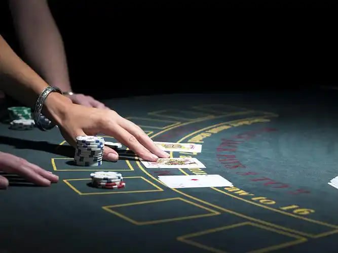 255 bet com