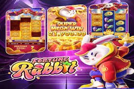 255 bet com