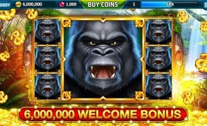 255 bet com